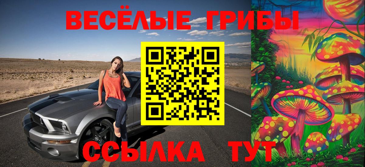 Галлюциногенные грибы Cubensis  Вход с VPN  Йошкар-Ола  Псилоцибиновые грибы прущие грибы 